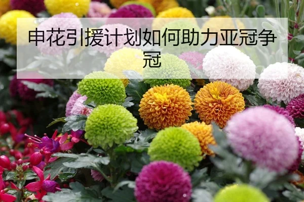 申花引援计划如何助力亚冠争冠 - Ledong